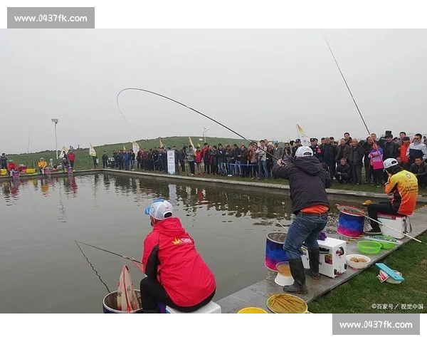 水库钓鱼比赛精彩瞬间合集全程回放技巧分享