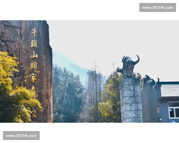 牛头比赛全景解析 探秘背后的竞技精神与独特魅力